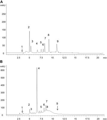 Polypodium vulgare L. (Polypodiaceae) as a Source of Bioactive Compounds: Polyphenolic Profile, Cytotoxicity and Cytoprotective Properties in Different Cell Lines